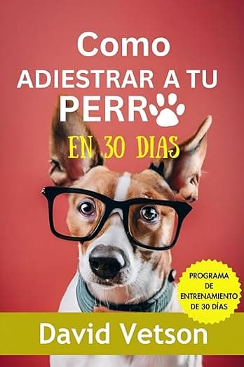 Portada de Cómo adiestrar a tu perro en 30 días: Ejercicios efectivos - Ejercicios para perros