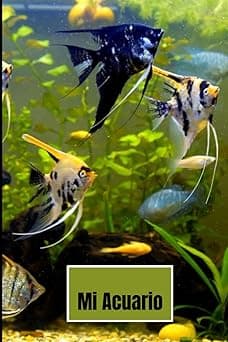 Portada de Mi Acuario: Diario de Mantenimiento del Acuario | Libro de cuidado de peces para niños, adolescentes, adultos.