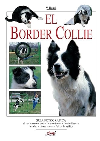 Portada de El border collie