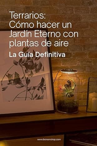 Portada de Terrarios: Cómo hacer un Jardín Eterno con plantas de aire (Guía definitiva): Montaje, cuidado y mantenimiento de terrarios con plantas de aire