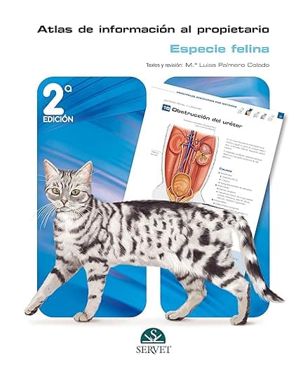 Portada de Especie felina. Atlas de información al propietario (2ª edición)