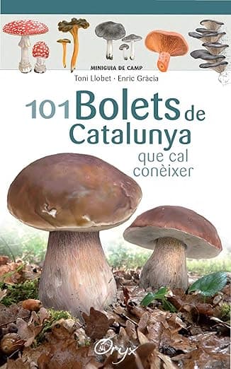 Portada de 101 Bolets De Catalunya: que cal conèixer (Miniguia de camp)